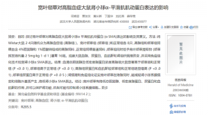 宽叶缬草对高脂血症大鼠肾小球α-平滑肌肌动蛋白表达的影响